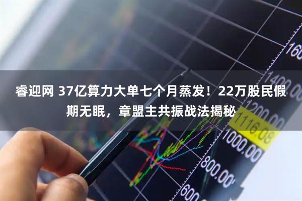 睿迎网 37亿算力大单七个月蒸发！22万股民假期无眠，章盟主共振战法揭秘
