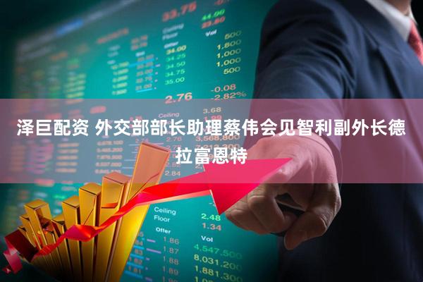 泽巨配资 外交部部长助理蔡伟会见智利副外长德拉富恩特