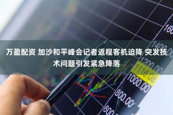 万盈配资 加沙和平峰会记者返程客机迫降 突发技术问题引发紧急降落